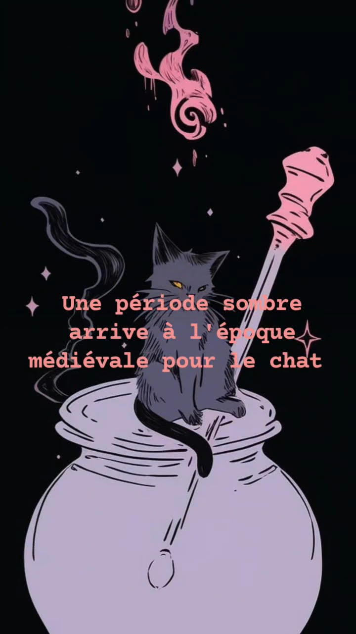 Chats au Moyen-Age